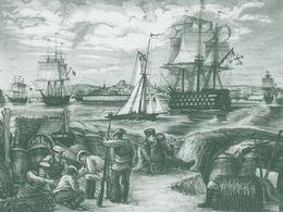 Игорь Задера. Корабль &laquo;Императрица Мария&raquo; входит в бухту Севастополя после победы при Синопе. 2008 г.